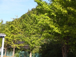 DSC05469