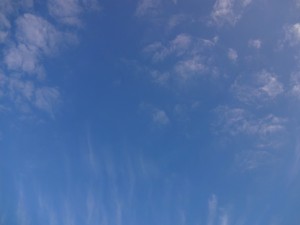 DSC05531