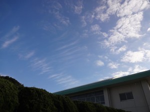 DSC05532
