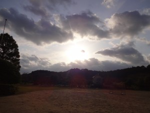 DSC06400