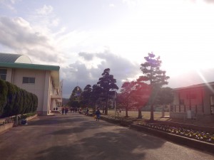 DSC06406