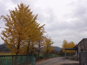 DSC06624