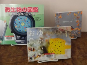 DSC07435