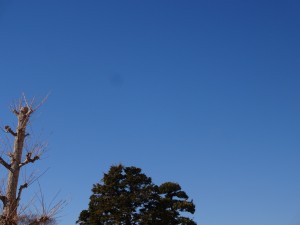 DSC09024